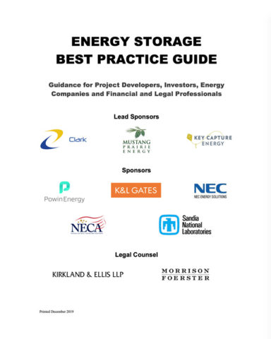 ACES Energy Storage Best Practice Guide cover