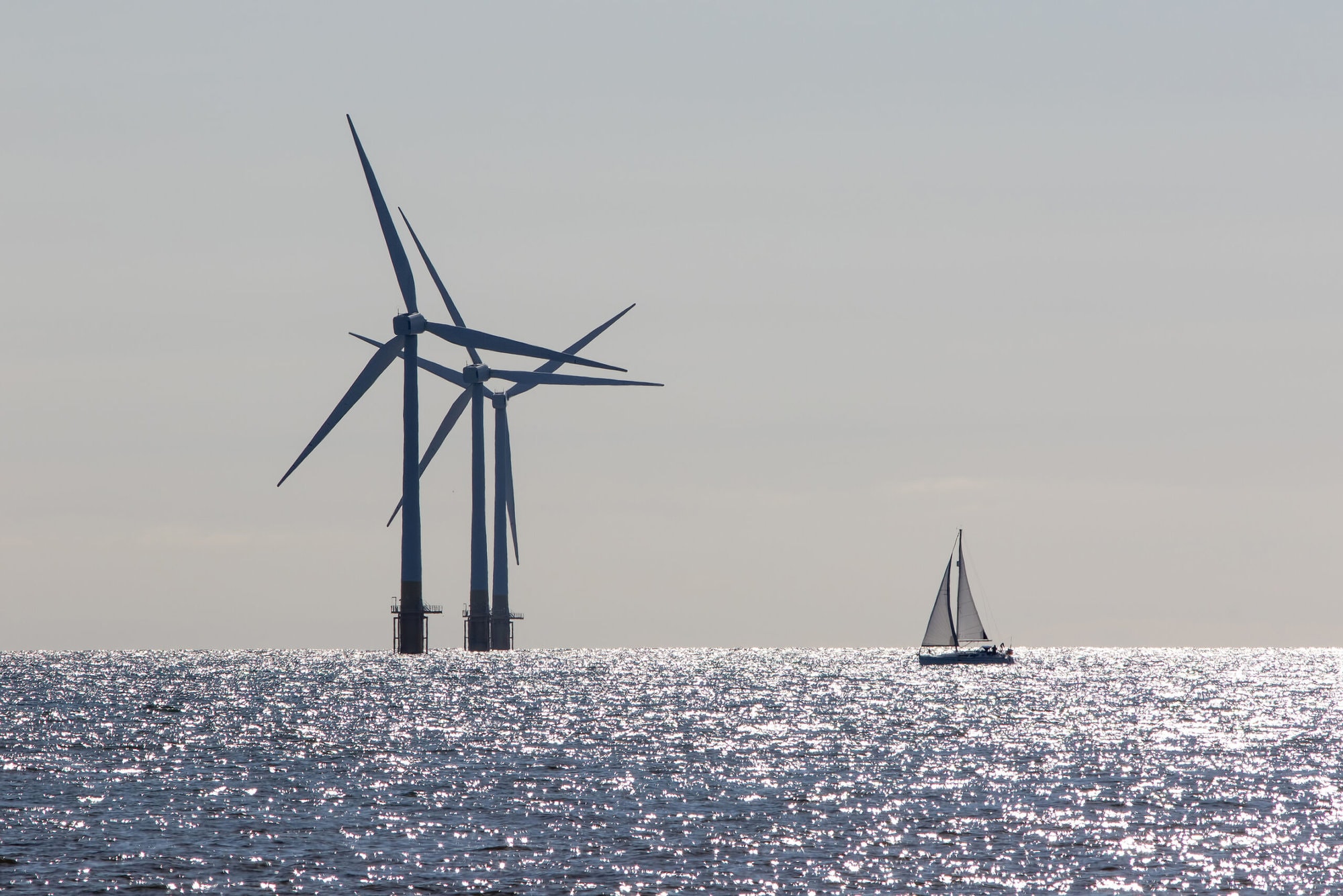 Wind power. Environmentally friendly sailing yacht. Offshore windfarm turbines. Tranquil scene of renewable resource power and travel with low carbon footprint lifestyle. Ecology landscape.