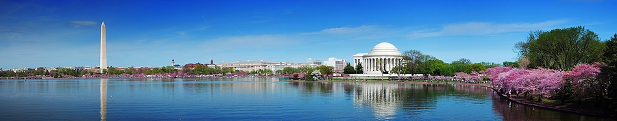 Washington DC panorama with Washington monument and Thomas Jefferson memorial with cherry blossom.